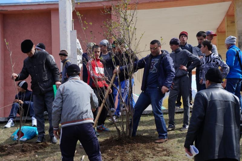 Всероссийская акция «Сирень Победы»