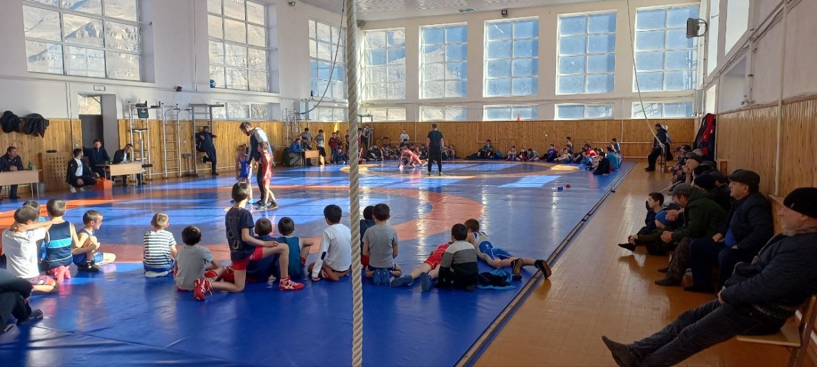 Первенство района по вольной борьбе среди школьников состоялся в Цурибе