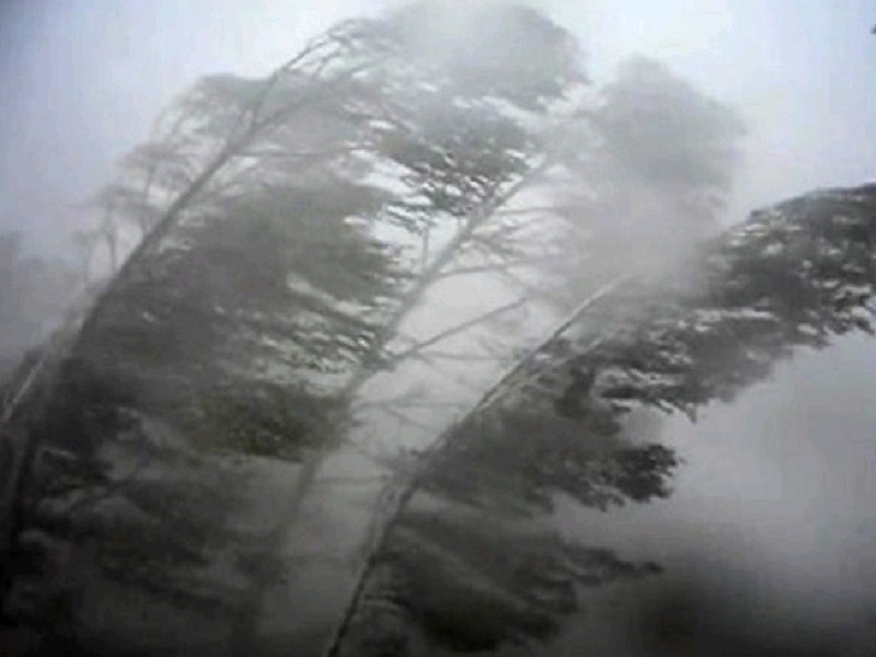 Штормовое предупреждение