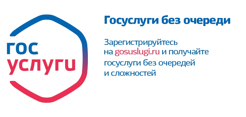 Госуслуги: Дагестан без очередей...