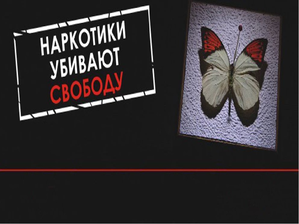 Культивирование наркосодержащих  растений недопустимо