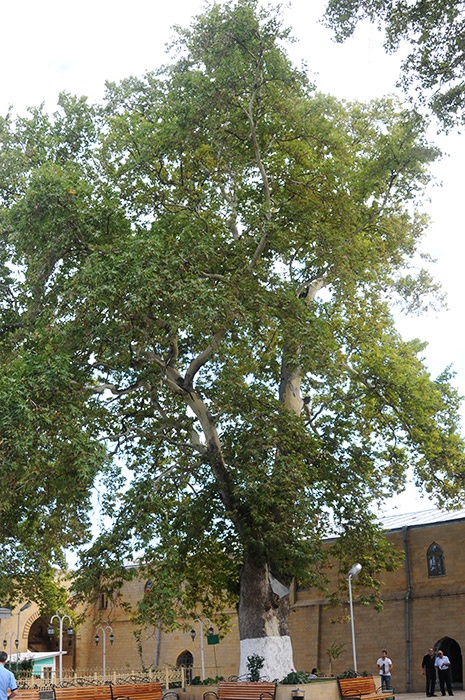 1 мая стартовал конкурс «Российское [